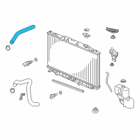 OEM Acura RLX Hose, Water (Upper) Diagram - 19501-R9P-A00