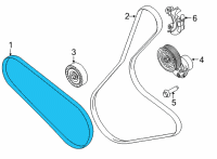 OEM 2022 Ford Bronco AC Belt Diagram - L1MZ-8620-B