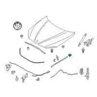 OEM BMW X1 Shaped Part, Water Box Diagram - 51-76-2-993-023