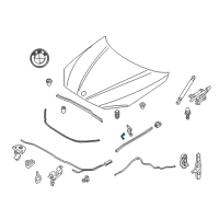 OEM 2013 BMW 135is Lower Section Seal Of Engine Hood, Right Diagram - 51-76-7-124-760