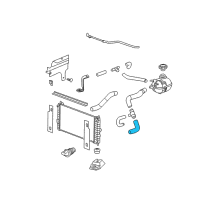 OEM 2007 Chevrolet Cobalt Radiator Outlet Front Hose (Lower) Diagram - 22717580