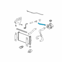 OEM 2006 Chevrolet Cobalt Radiator Coolant Outlet Intermediate Hose (Service) Diagram - 22728088