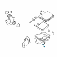 OEM Ford Mustang Lower Tray Insulator Diagram - F5ZZ-9P686-AA