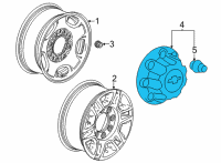 OEM 2014 Chevrolet Silverado 2500 HD Hub Cap Diagram - 22781441