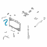 OEM 2005 Hyundai Tiburon Hose-Radiator Lower Diagram - 25412-2C100