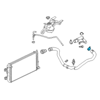 OEM 2017 Chevrolet Express 3500 Upper Hose Clamp Diagram - 11548772