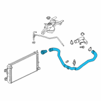 OEM 2019 Chevrolet Express 2500 Lower Hose Diagram - 84440071