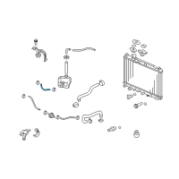 OEM 2000 Honda Civic Hose (250MM) (ATf) Diagram - 25213-P24-007