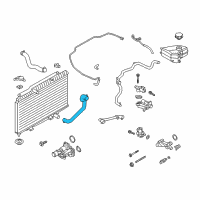 OEM 2018 Ford Fiesta Lower Hose Diagram - C1BZ-8286-A