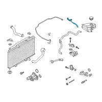 OEM 2017 Ford Fiesta Overflow Hose Diagram - C1BZ-8B081-J