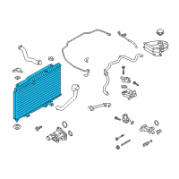 OEM Ford Fiesta Radiator Diagram - C1BZ-8005-A