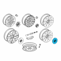 OEM 2011 Buick Enclave Center Cap Diagram - 9597721