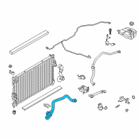 OEM Ford Escape Lower Hose Diagram - CV6Z-8260-L