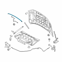 OEM 2018 Ford Expedition Front Weatherstrip Diagram - JL1Z-16B990-B