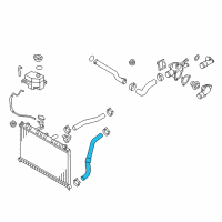 OEM 2010 Hyundai Accent Hose-Radiator Lower Diagram - 25412-1E100