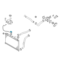 OEM 2010 Hyundai Accent Cap Assembly-Radiator Diagram - 25330-17000