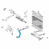 OEM 2002 Lexus RX300 Hose, Radiator, Outlet Diagram - 16572-20060