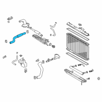 OEM 2002 Lexus RX300 Hose, Radiator, Inlet Diagram - 16571-20030