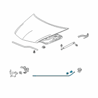 OEM Acura RL Wire, Hood Diagram - 74130-SJA-G02