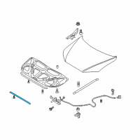 OEM 2012 Hyundai Santa Fe Strip Assembly Front -Hood Diagram - 86455-2B000