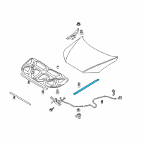 OEM 2012 Hyundai Santa Fe Lifter-Hood Diagram - 81160-2B000