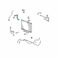 OEM Honda Ridgeline Hose, Water (Lower) Diagram - 19502-RN0-A00