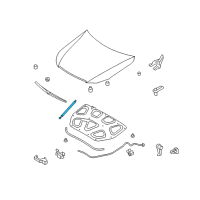 OEM 2012 Hyundai Genesis Lifter-Hood Diagram - 81161-3M001