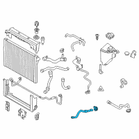 OEM BMW 750i xDrive Coolant Hose Diagram - 17-12-7-575-429