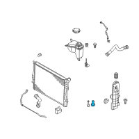 OEM BMW Drain Plug Radiator Diagram - 17-11-7-530-902