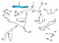 OEM 2020 Toyota GR Supra Lower Hose Diagram - 16571-WAA02