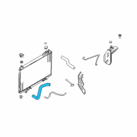 OEM Infiniti Hose-Radiator, Lower Diagram - 21503-CG000