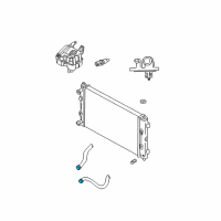 OEM Chrysler Sebring Clamp-Hose Diagram - 4809146AA