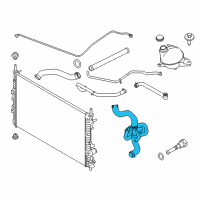 OEM 2018 Ford Transit-350 Lower Hose Diagram - CK4Z-8286-E