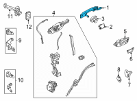 OEM 2021 Ford Bronco Sport HANDLE ASY - DOOR - OUTER Diagram - M1PZ-7822404-EAPTM