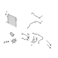 OEM 2001 Ford Crown Victoria Switch O-Ring Diagram - 1W1Z-19E889-LB