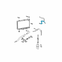 OEM 2005 Hyundai Elantra Hose-Radiator Lower Diagram - 25412-2D200