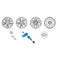 OEM Kia Carnival Wheel Assembly-Temporary Diagram - 52919P2100