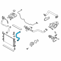 OEM 2016 Ford Focus Upper Hose Diagram - F1FZ-8260-D