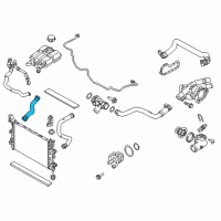 OEM Ford Focus Lower Hose Diagram - CV6Z-8286-AA