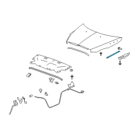 OEM 2009 Buick Enclave Support Strut Diagram - 25796763