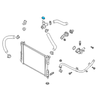 OEM 2016 Hyundai Veloster Cap Assembly-Radiator Diagram - 25330-1R000