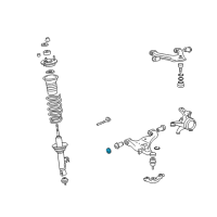 OEM 2010 Toyota Tacoma Adjust Cam Diagram - 48198-25010