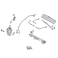 OEM 2020 Lexus IS350 Cap, Washer, A Diagram - 85316-24130