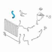 OEM 2017 BMW 640i Radiator Coolant Hose Lower Diagram - 17-12-7-605-640