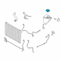OEM BMW 320i xDrive Radiator Cap Diagram - 17-11-7-639-020