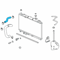 OEM 2021 Honda Accord Hose, Water (Upper) Diagram - 19501-6C1-A01