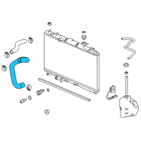 OEM 2021 Honda Accord Hose, Water (Lower) Diagram - 19502-6C1-A01