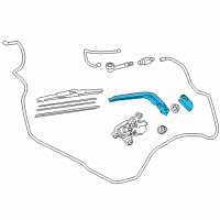 OEM Scion Rear Arm Diagram - 85241-74020