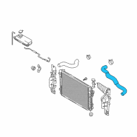 OEM Hyundai Hose-Radiator Lower Diagram - 25412-2E200