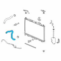 OEM Acura RDX Hose, Water (Lower) Diagram - 19502-R8A-A00